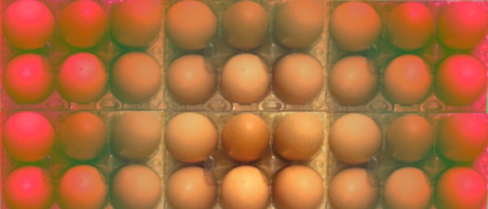 Image of a tray of hens eggs